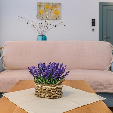 Kronstadt Olarilor Apartment Brašov Exteriér fotografie